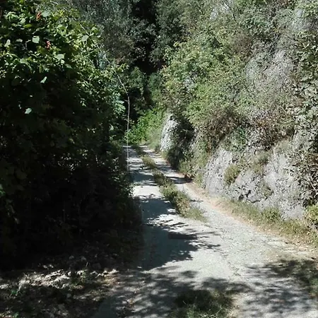 Casa Sisengla Tra Lago E Monti Holiday home Gargnano
